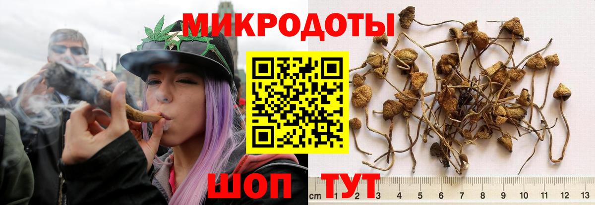 Псилоцибиновые грибы прущие грибы  Галлюциногенные грибы MAGIC MUSHROOMS  Вход с VPN  Омск 